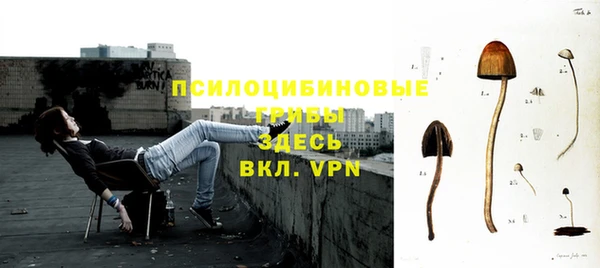 мдпв Новодвинск
