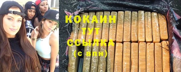 ECSTASY Новозыбков