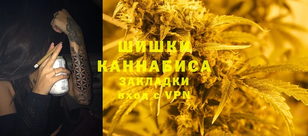 мдпв Новодвинск