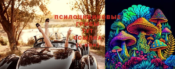 ECSTASY Новозыбков