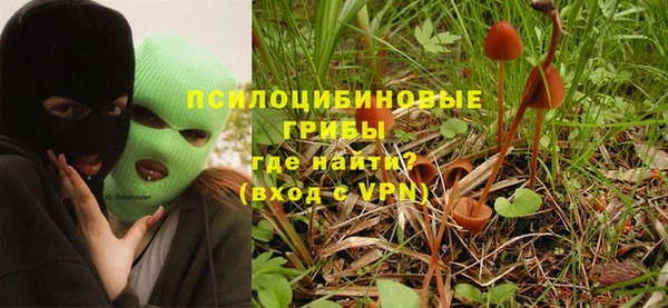 мдпв Новодвинск