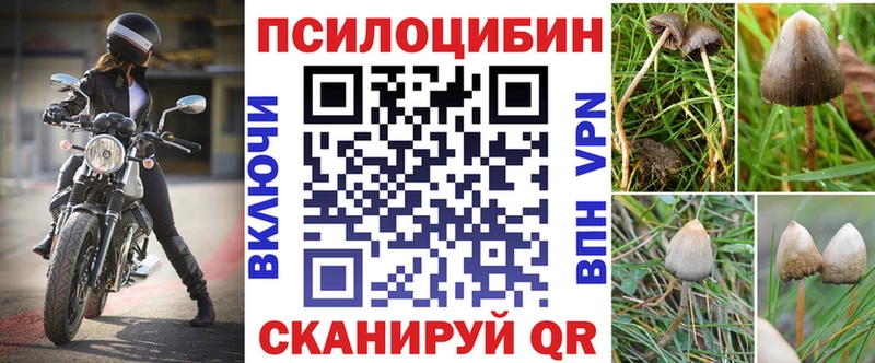 Галлюциногенные грибы MAGIC MUSHROOMS Йошкар-Ола