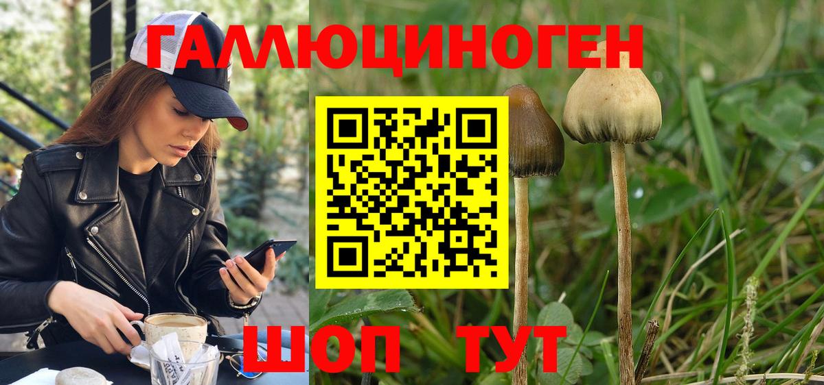 Псилоцибиновые грибы ЛСД  купить наркотики сайты  Йошкар-Ола  Вход с VPN 