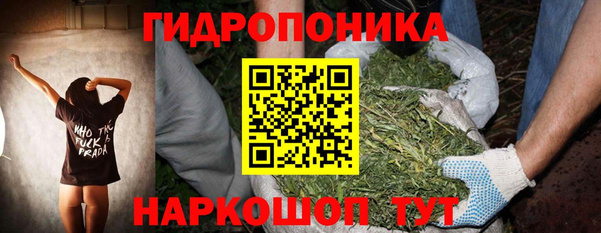 Каннабис SATIVA & INDICA  Вход с VPN  Каннабис гибрид  Йошкар-Ола  Бошки марихуана LSD WEED 
